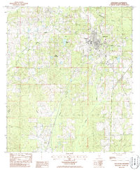Poplarville 1986 topographic map thumbnail