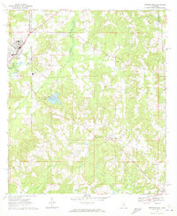 Prentiss East 1970 topographic map thumbnail