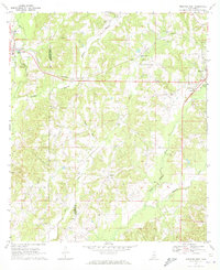 Prentiss West 1970 topographic map preview