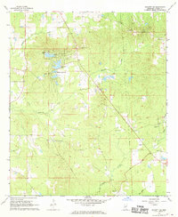 Puckett NW 1968 topographic map thumbnail