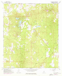 Puckett NW 1968 topographic map thumbnail