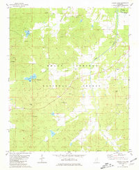 Puskus Lake 1980 topographic map thumbnail
