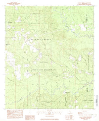 Ramsey Springs 1982 topographic map thumbnail