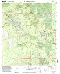 Ramsey Springs 2000 topographic map thumbnail
