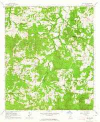 Red Lick 1963 topographic map thumbnail