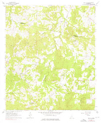 Red Lick 1963 topographic map thumbnail