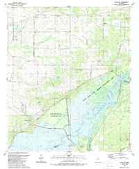 Shoccoe 1989 topographic map thumbnail