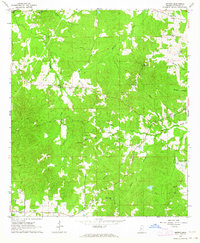 Smyrna 1963 topographic map thumbnail