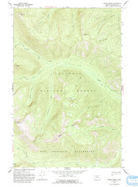 String Creek 1965 topographic map preview