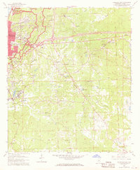 Vicksburg East 1962 topographic map thumbnail
