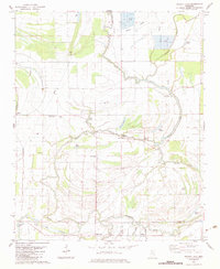 Walnut Lake 1982 topographic map thumbnail