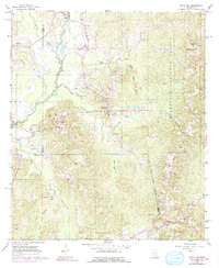 White Oak 1968 topographic map thumbnail