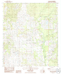 White Sand 1986 topographic map thumbnail