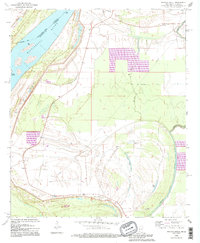 Whiting Bayou 1994 topographic map preview