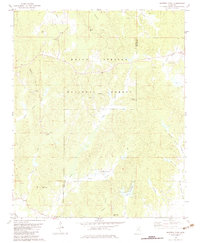 Whitten Town 1982 topographic map thumbnail