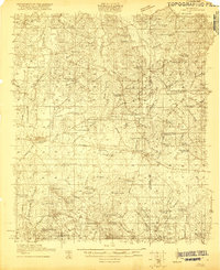 Forest 1921 topographic map thumbnail