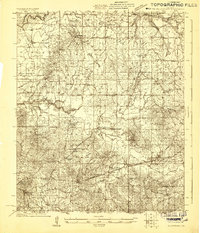 Pelahatchee 1922 topographic map thumbnail