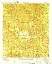 Benndale 1949 topographic map thumbnail