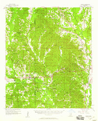 Chunky 1957 topographic map thumbnail