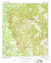 Lucedale 1941 topographic map thumbnail