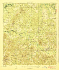 Pelahatchee topographic map thumbnail