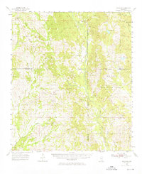 Savannah 1955 topographic map thumbnail