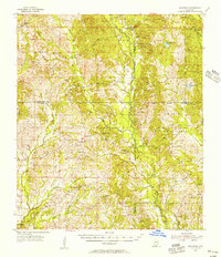 Savannah 1955 topographic map thumbnail
