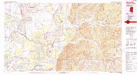 Woodville 1991 topographic map thumbnail