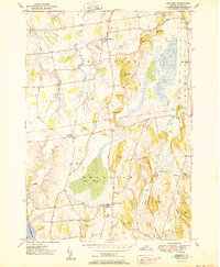 Bridport 1950 topographic map thumbnail