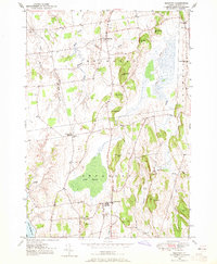 Bridport 1949 topographic map thumbnail