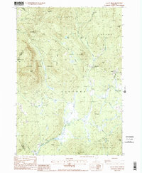 Gallup Mills 1988 topographic map thumbnail