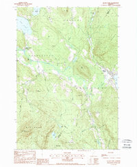 Island Pond 1988 topographic map thumbnail