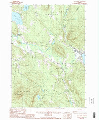 Island Pond 1988 topographic map thumbnail