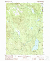 Maidstone Lake 1988 topographic map thumbnail