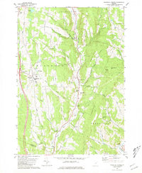 Randolph Center 1981 topographic map thumbnail