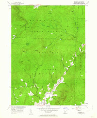 Stamford 1954 topographic map thumbnail