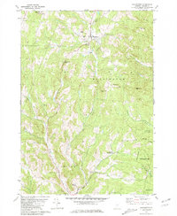 Washington 1981 topographic map thumbnail