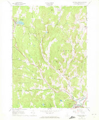Woodstock North 1966 topographic map thumbnail
