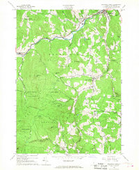 Woodstock South 1966 topographic map thumbnail