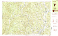 Newfane 1984 topographic map thumbnail
