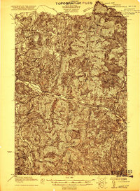 Richmond 1921 topographic map thumbnail