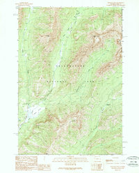 Abiathar Peak 1989 topographic map thumbnail