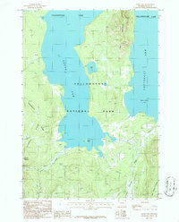 Alder Lake 1986 topographic map thumbnail