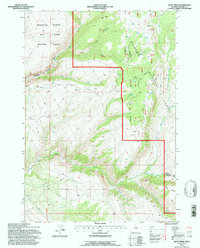 Allen Draw 1993 topographic map thumbnail