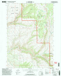 Allen Draw 1993 topographic map thumbnail