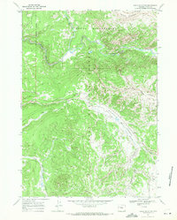 Angle Mountain 1965 topographic map thumbnail