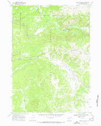 Angle Mountain 1965 topographic map thumbnail