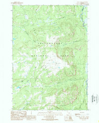 Badger Creek 1989 topographic map thumbnail