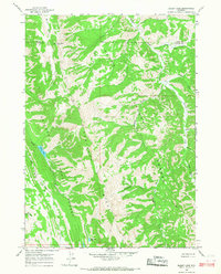 Bailey Lake 1965 topographic map thumbnail