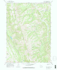 Bailey Lake 1965 topographic map thumbnail